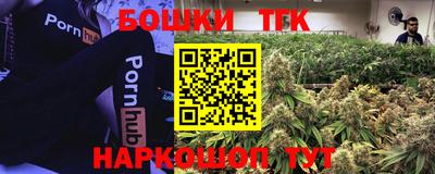крисы Обь