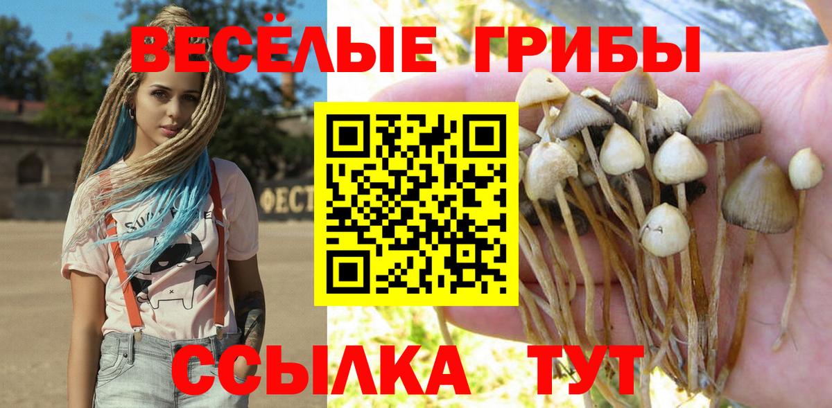 Галлюциногенные грибы мухоморы Советск