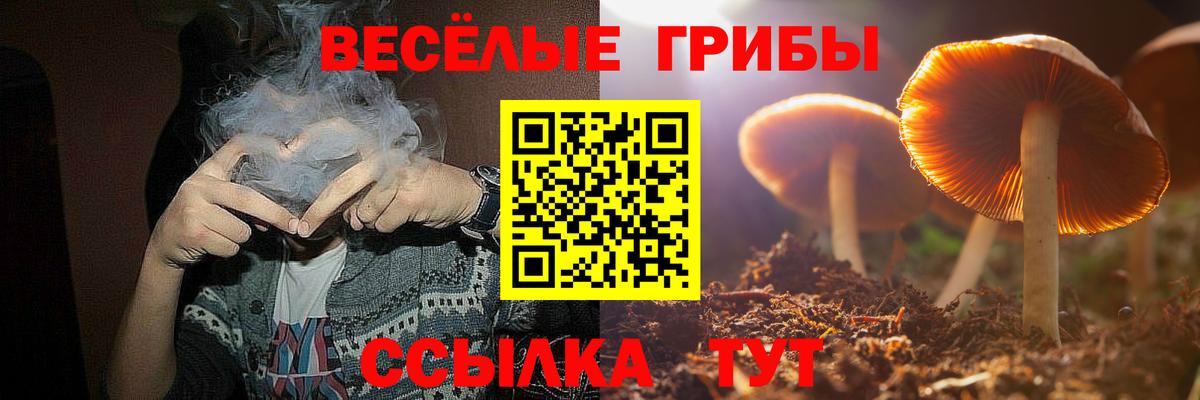 Советск  Галлюциногенные грибы GOLDEN TEACHER  Вход с VPN  Галлюциногенные грибы Psilocybine cubensis 